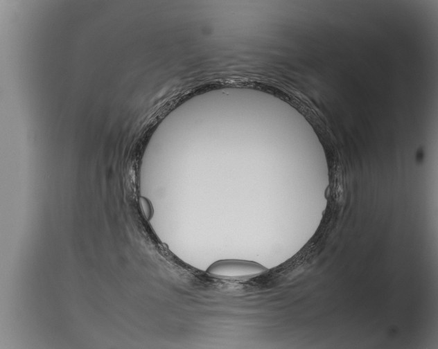 X0000115760523200911131002