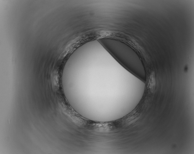 X0000115760524200911131002