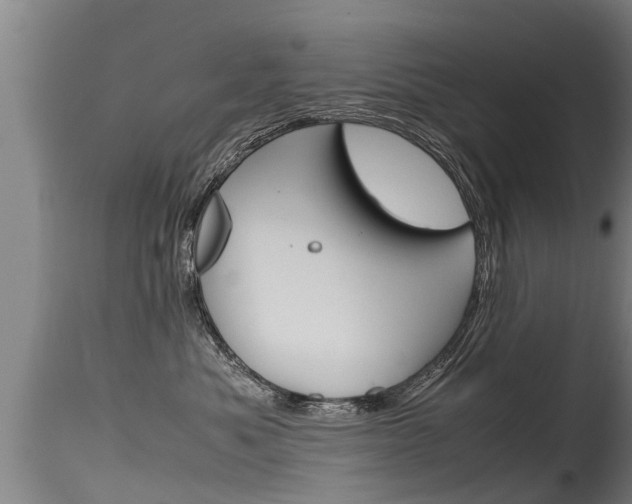 X0000115760525200911131002