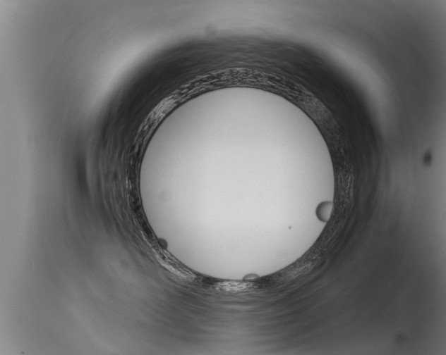 X0000115760526200911131002