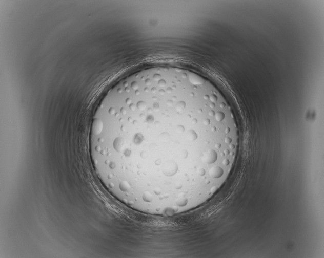 X0000115760529200911131002