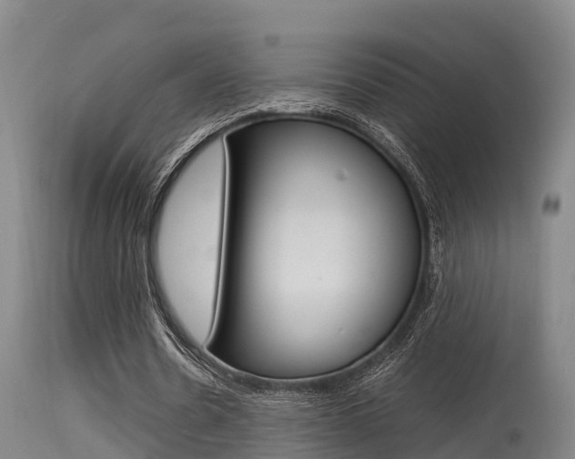 X0000115760530200911131002