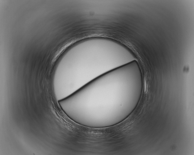 X0000115760531200911131002