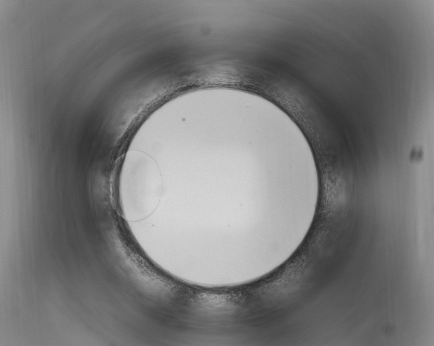 X0000115760534200911131002