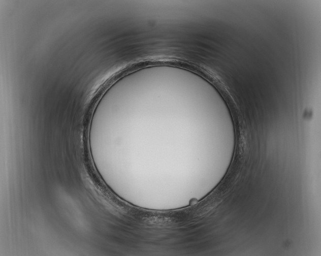 X0000115760535200911131002