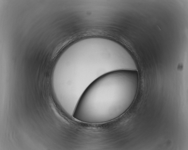 X0000115760538200911131002