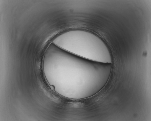 X0000115760539200911131002