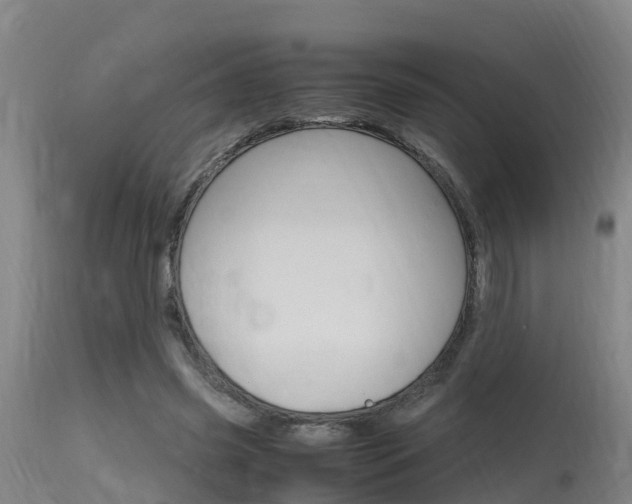 X0000115760541200911131002