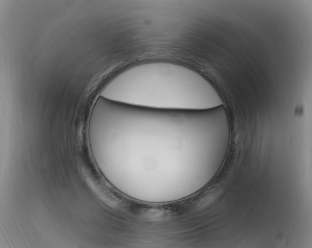 X0000115760542200911131002