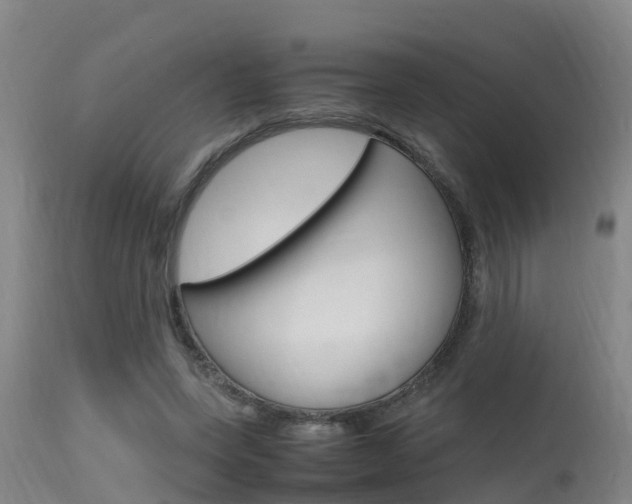 X0000115760543200911131002