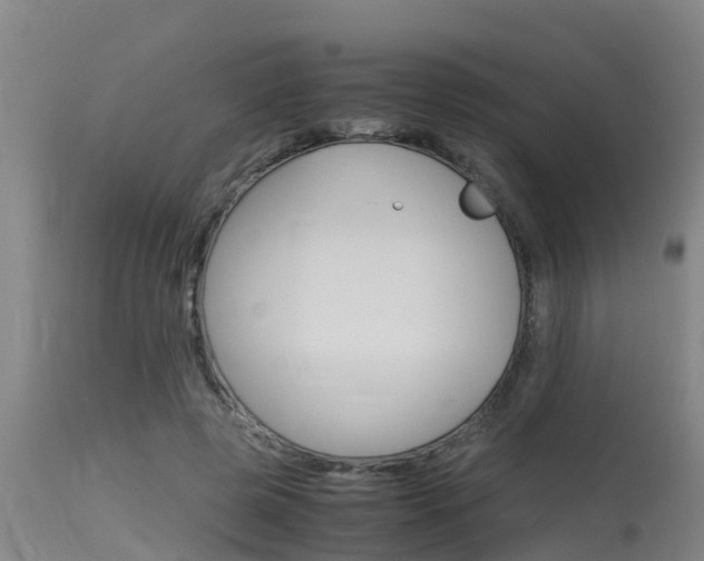 X0000115760545200911131002