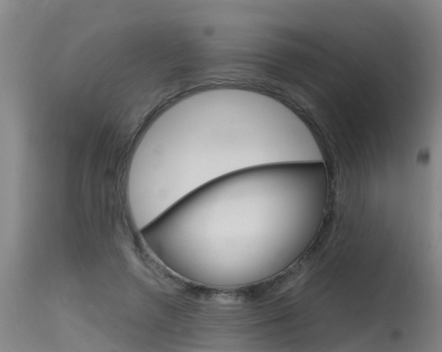 X0000115760546200911131002