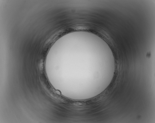 X0000115760549200911131002