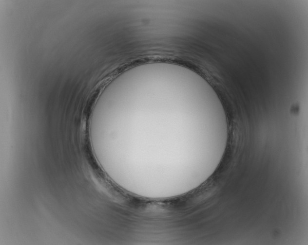 X0000115760550200911131002