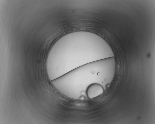 X0000115760555200911131002