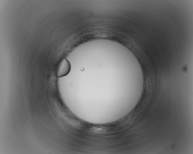 X0000115760557200911131002
