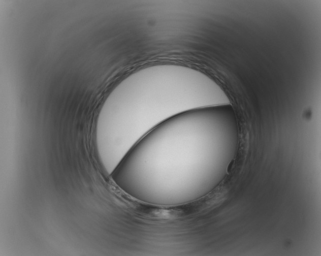 X0000115760558200911131002