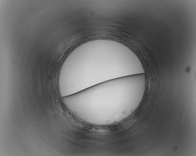 X0000115760559200911131002