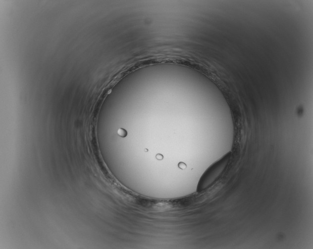 X0000115760562200911131002