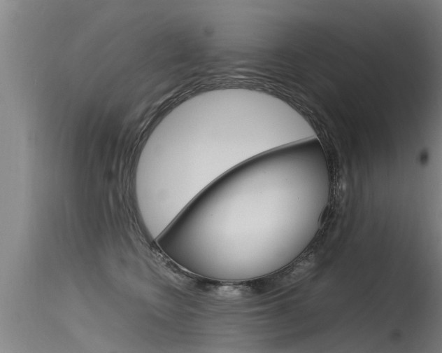 X0000115760566200911131002