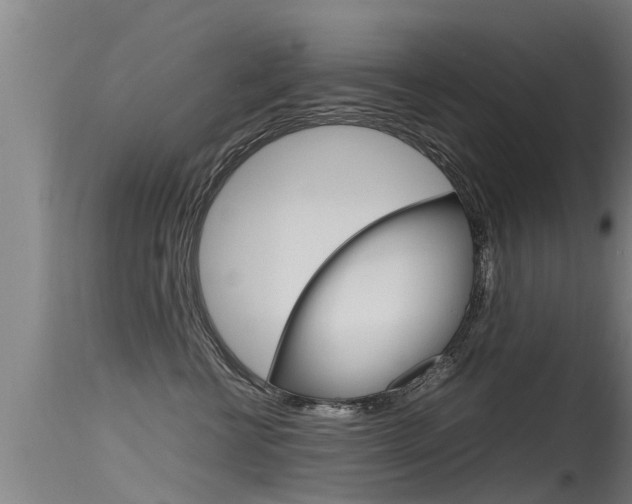X0000115760570200911131002