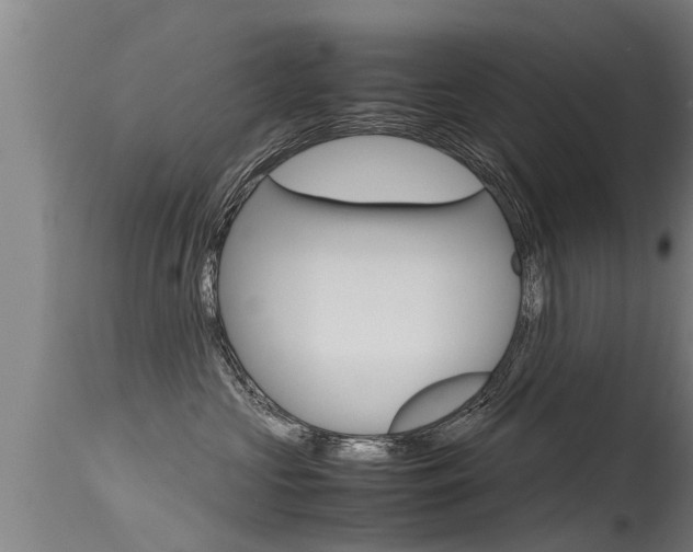 X0000115760573200911131002