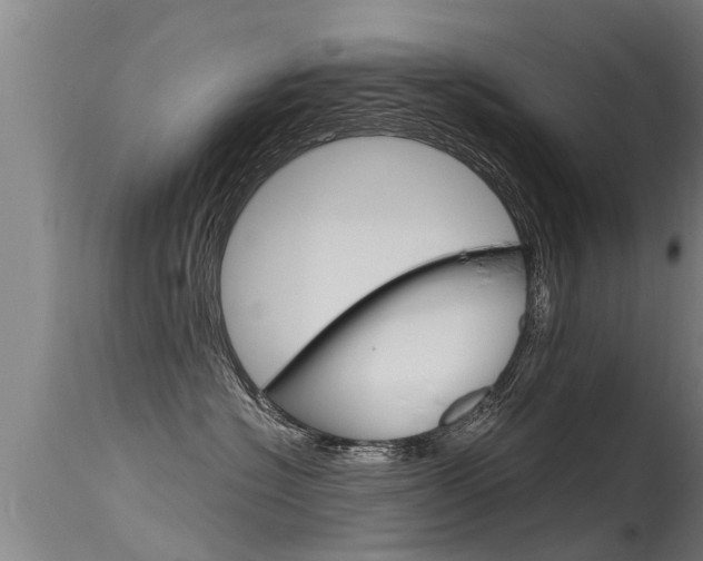 X0000115760574200911131002