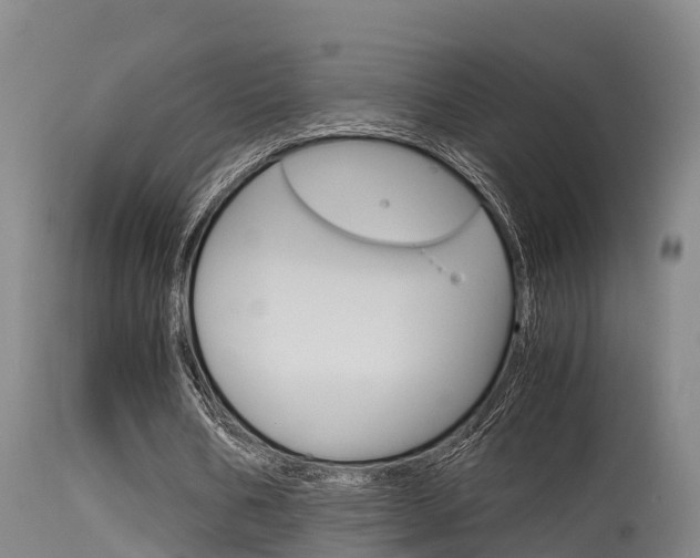X0000115760578200911131001
