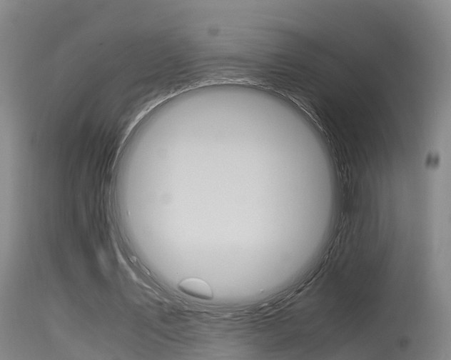 X0000115760579200911131001