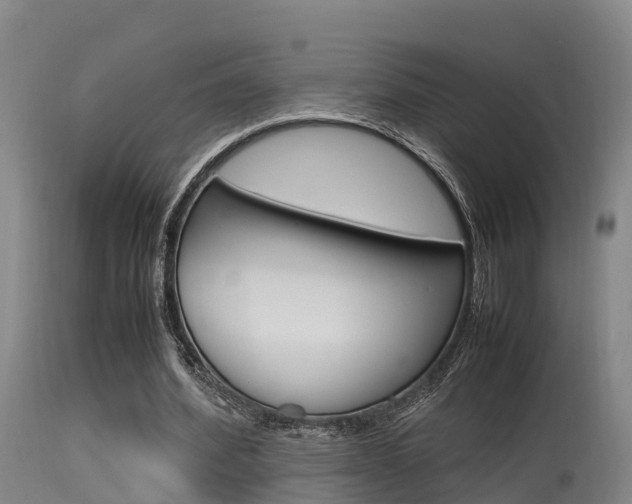 X0000115760580200911131001