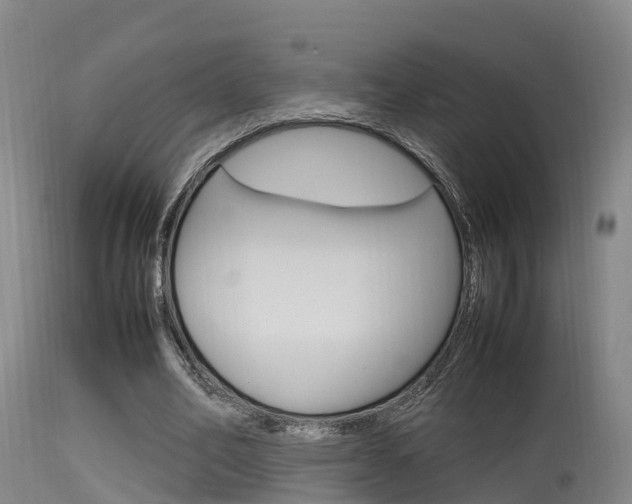 X0000115760582200911131001