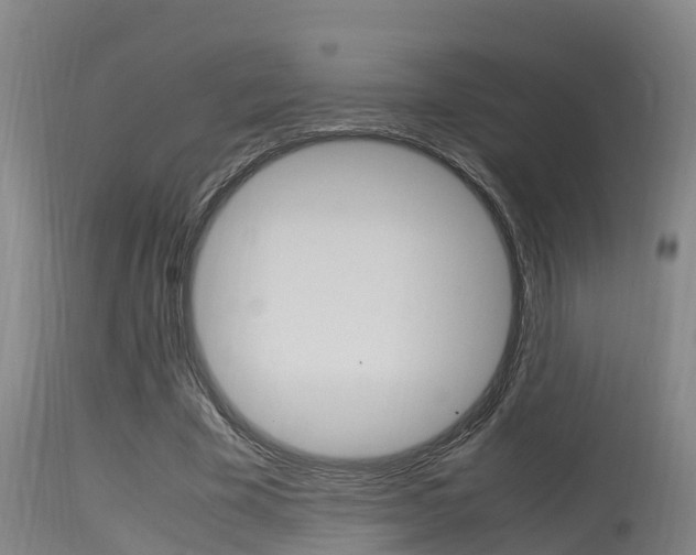 X0000115760585200911131001