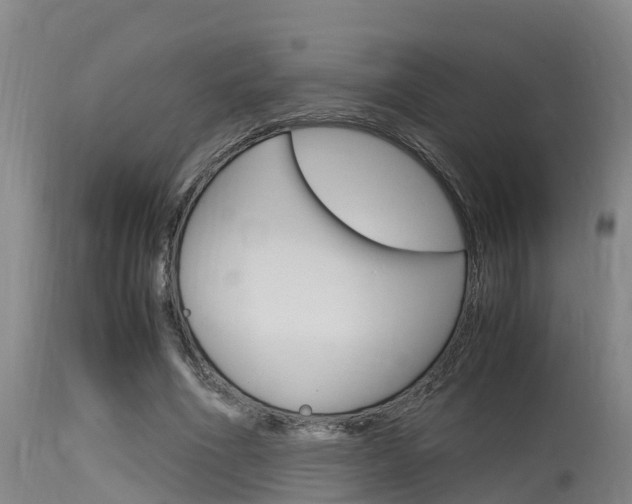 X0000115760586200911131001