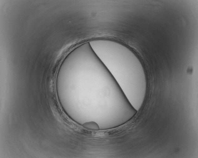 X0000115760587200911131001