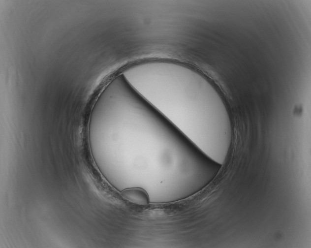 X0000115760588200911131001