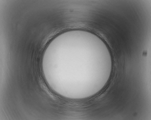 X0000115760589200911131001