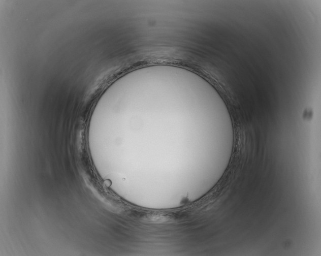X0000115760590200911131001