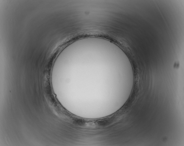 X0000115760591200911131001