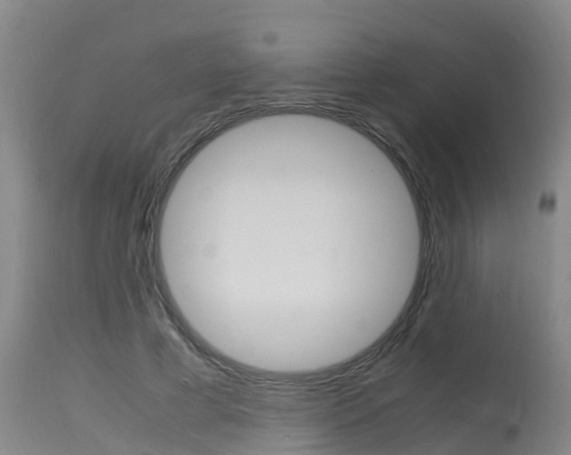 X0000115760593200911131001