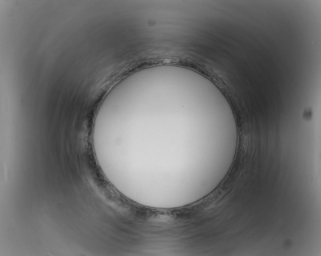 X0000115760594200911131001