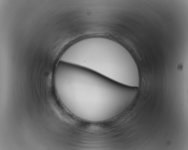 X0000115760596200911131001