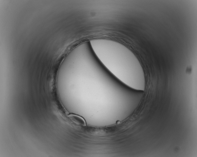 X0000115760600200911131001