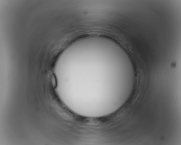 X0000115760601200911131001