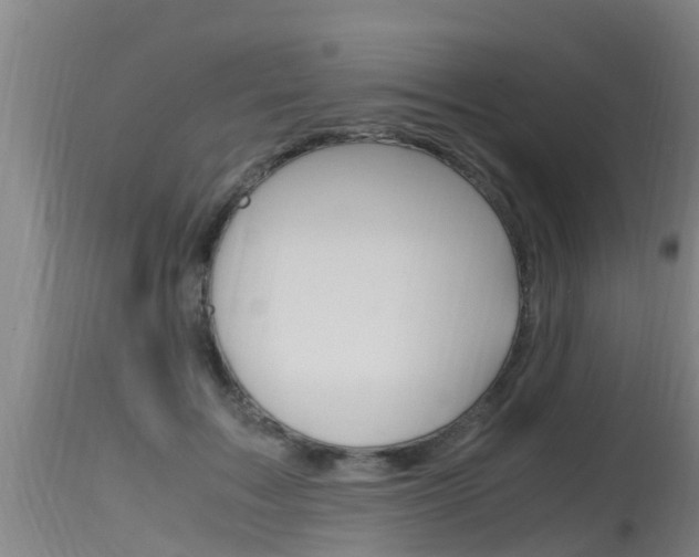 X0000115760603200911131001