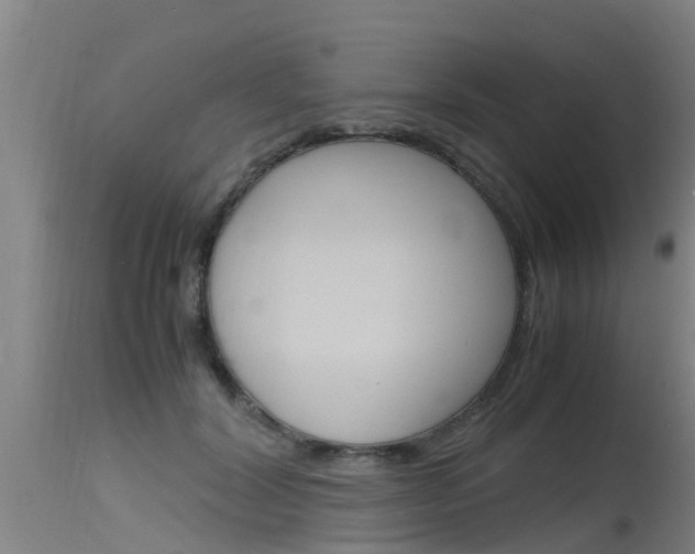 X0000115760604200911131001
