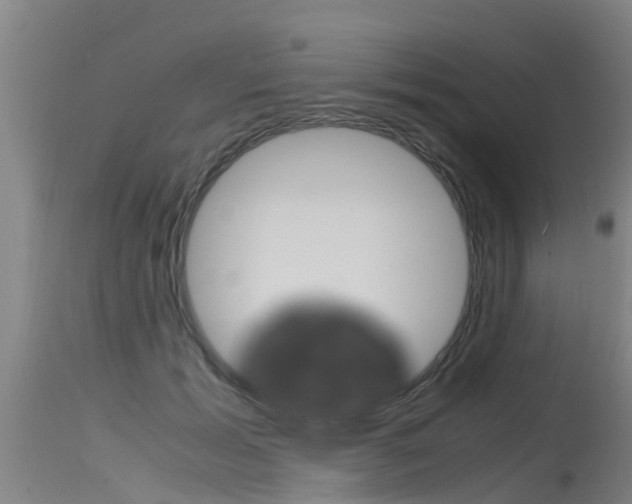X0000115760605200911131001