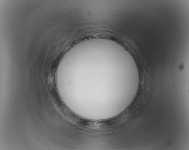 X0000115760607200911131001