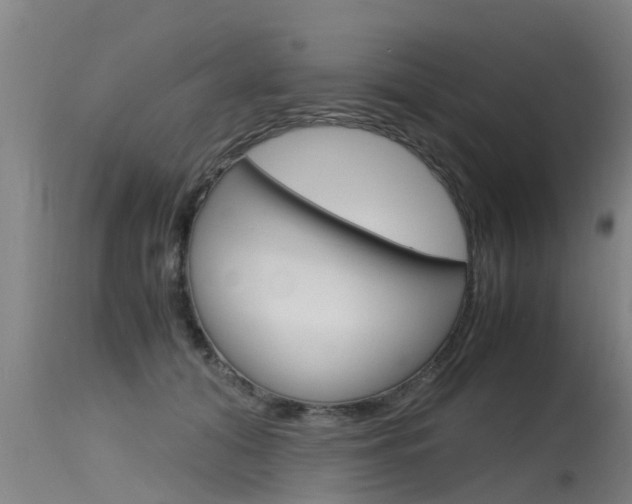 X0000115760608200911131001