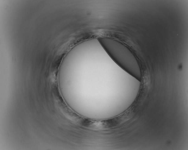 X0000115760611200911131001