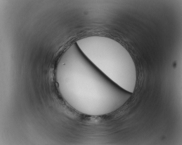 X0000115760612200911131001